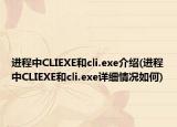 进程中CLIEXE和cli.exe介绍(进程中CLIEXE和cli.exe详细情况如何)