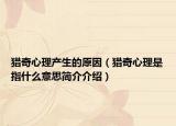 猎奇心理产生的原因（猎奇心理是指什么意思简介介绍）