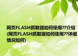 网页FLASH抓取器如何使用??介绍(网页FLASH抓取器如何使用??详细情况如何)