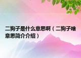 二狗子是什么意思啊（二狗子啥意思简介介绍）