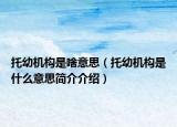 托幼机构是啥意思（托幼机构是什么意思简介介绍）