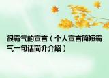 很霸气的宣言（个人宣言简短霸气一句话简介介绍）