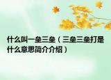 什么叫一垒三垒（三垒三垒打是什么意思简介介绍）