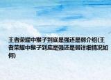 王者荣耀中猴子到底是强还是弱介绍(王者荣耀中猴子到底是强还是弱详细情况如何)