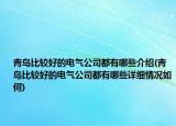 青岛比较好的电气公司都有哪些介绍(青岛比较好的电气公司都有哪些详细情况如何)