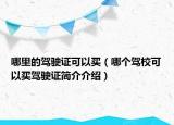 哪里的驾驶证可以买（哪个驾校可以买驾驶证简介介绍）