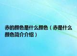 赤的颜色是什么颜色（赤是什么颜色简介介绍）