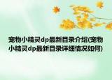 宠物小精灵dp最新目录介绍(宠物小精灵dp最新目录详细情况如何)