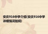 安庆916中学介绍(安庆916中学详细情况如何)