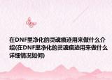 在DNF里净化的灵魂痕迹用来做什么介绍(在DNF里净化的灵魂痕迹用来做什么详细情况如何)