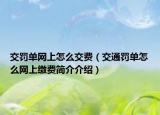 交罚单网上怎么交费（交通罚单怎么网上缴费简介介绍）