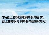 求g弦上的咏叹调(钢琴版介绍 求g弦上的咏叹调 钢琴版详细情况如何)