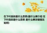 在下叶良辰是什么意思(是什么梗介绍 在下叶良辰是什么意思 是什么梗详细情况如何)