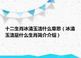 十二生肖冰清玉洁什么意思（冰清玉洁是什么生肖简介介绍）