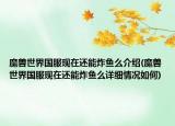 魔兽世界国服现在还能炸鱼么介绍(魔兽世界国服现在还能炸鱼么详细情况如何)