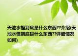 天池水怪到底是什么东西??介绍(天池水怪到底是什么东西??详细情况如何)