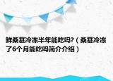 鲜桑葚冷冻半年能吃吗?（桑葚冷冻了6个月能吃吗简介介绍）