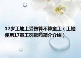17岁工地上受伤算不算童工（工地使用17童工罚款吗简介介绍）