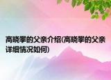 高晓攀的父亲介绍(高晓攀的父亲详细情况如何)