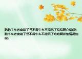 跑跑牛车老窝端了怪不得牛车不能玩了哈哈啊介绍(跑跑牛车老窝端了怪不得牛车不能玩了哈哈啊详细情况如何)