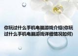 你玩过什么手机电脑游戏介绍(你玩过什么手机电脑游戏详细情况如何)
