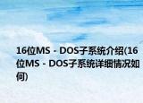 16位MS－DOS子系统介绍(16位MS－DOS子系统详细情况如何)