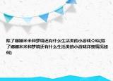 除了娜娜米米和梦境还有什么生活类的小游戏介绍(除了娜娜米米和梦境还有什么生活类的小游戏详细情况如何)