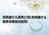 龙鸣是什么意思介绍(龙鸣是什么意思详细情况如何)
