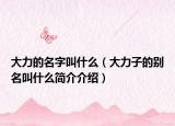 大力的名字叫什么（大力子的别名叫什么简介介绍）
