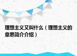 理想主义又叫什么（理想主义的意思简介介绍）