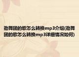 劲舞团的歌怎么转换mp3介绍(劲舞团的歌怎么转换mp3详细情况如何)