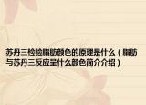 苏丹三检验脂肪颜色的原理是什么（脂肪与苏丹三反应呈什么颜色简介介绍）