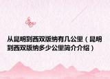 从昆明到西双版纳有几公里（昆明到西双版纳多少公里简介介绍）