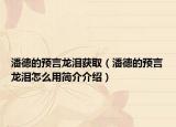 潘德的预言龙泪获取（潘德的预言龙泪怎么用简介介绍）