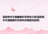 真的有中文视窗操作系统吗介绍(真的有中文视窗操作系统吗详细情况如何)