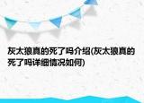 灰太狼真的死了吗介绍(灰太狼真的死了吗详细情况如何)