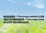谁能给我解释一下(ba yonga wamba什么意思 谢啦介绍 谁能给我解释一下 ba yonga wamba什么意思 谢啦详细情况如何)