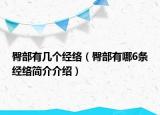 臀部有几个经络（臀部有哪6条经络简介介绍）