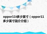 oppor11t多少英寸（oppor11多少英寸简介介绍）