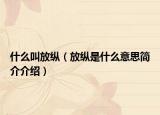什么叫放纵（放纵是什么意思简介介绍）