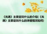 《光遇》主要是玩什么的介绍(《光遇》主要是玩什么的详细情况如何)