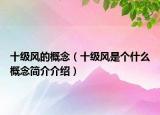 十级风的概念（十级风是个什么概念简介介绍）