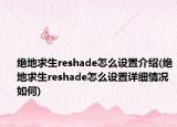 绝地求生reshade怎么设置介绍(绝地求生reshade怎么设置详细情况如何)