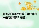 prejudice是否可数（prejudices是可数吗简介介绍）