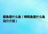 鳐鱼是什么鱼（螗鲺鱼是什么鱼简介介绍）