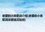 亲爱的小孩歌词介绍(亲爱的小孩歌词详细情况如何)