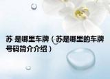 苏 是哪里车牌（苏是哪里的车牌号码简介介绍）