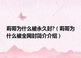 莉哥为什么被永久封?（莉哥为什么被全网封简介介绍）