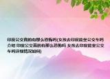 印度公交真的有那么恐怖吗(女孩去印度能坐公交车吗介绍 印度公交真的有那么恐怖吗 女孩去印度能坐公交车吗详细情况如何)