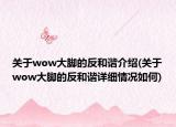 关于wow大脚的反和谐介绍(关于wow大脚的反和谐详细情况如何)